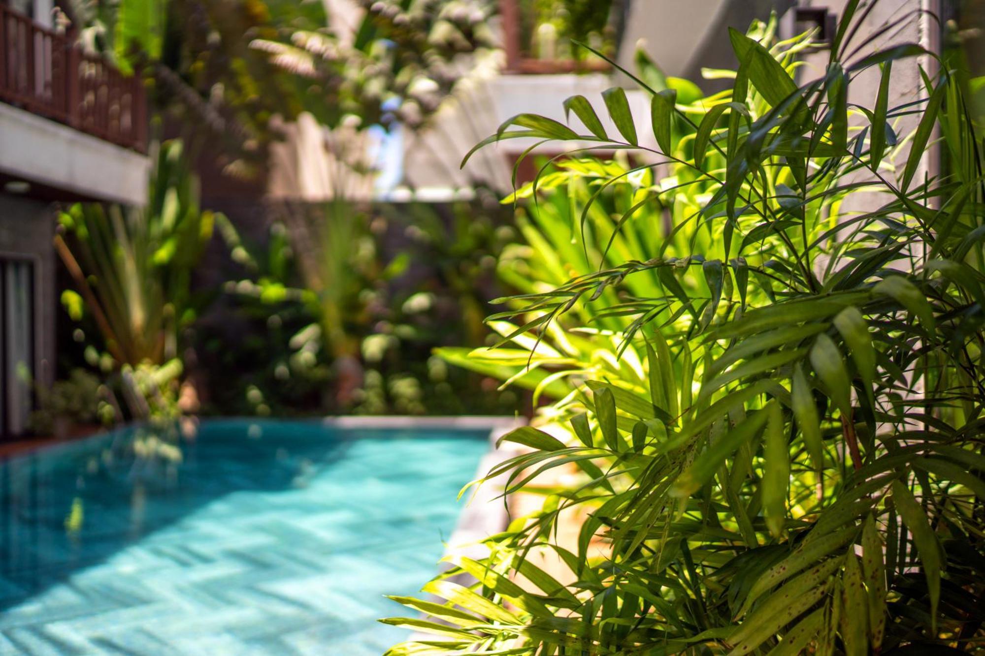December Hoi An Villa Eksteriør bilde